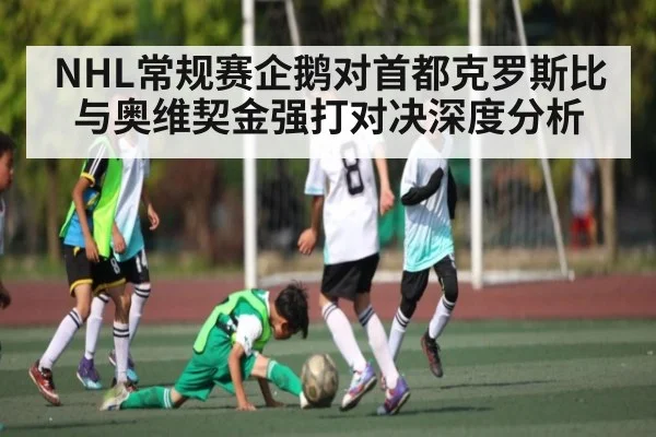 NHL常规赛企鹅对首都克罗斯比与奥维契金强打对决深度分析